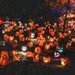 #halloweenready #familyfun #bugfreehalloween #tickwise #naturalliving