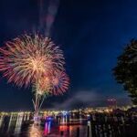 family watching Fourth of July fireworks picnic park summer dog blanket