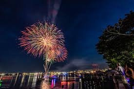 family watching Fourth of July fireworks picnic park summer dog blanket