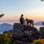 sunny summer hiking trail family dog outdoor grass sunlight nature