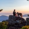 hiking sunny summer hiking trail family dog outdoor grass sunlight nature