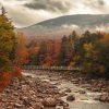 pexels-philevenphotos-18713678 Think bug season ends in summer? Think again. Discover 10 natural ways to protect yourself from late-season ticks and mosquitoes during fall hikes, leaf-peeping, and family outings.